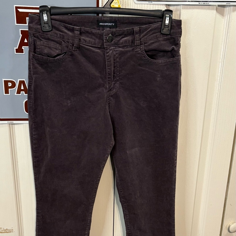 Prosperity Corduroy Pants in Dark Brown